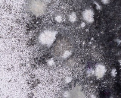 close-up of Resurrection art