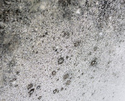 spots of white and grey paints spots of white and grey paints