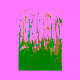 Autumn-Reflctions